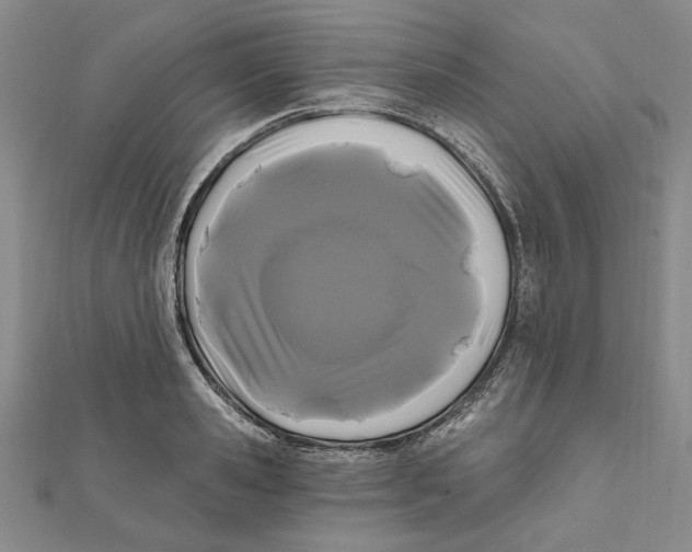 X0000111670941200908141425