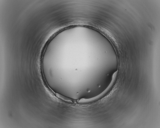 X0000111670942200908141425