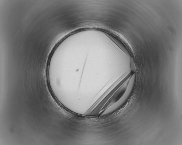 X0000111670943200908141425