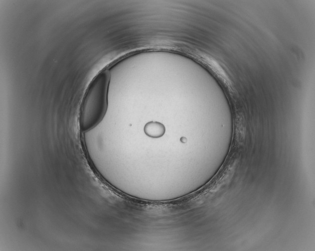 X0000111670944200908141425