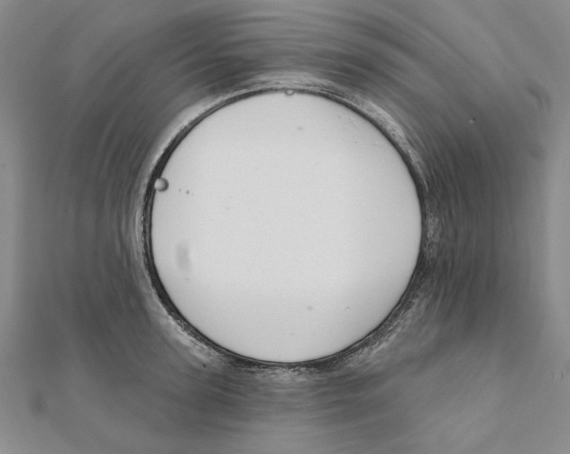 X0000111670947200908141425