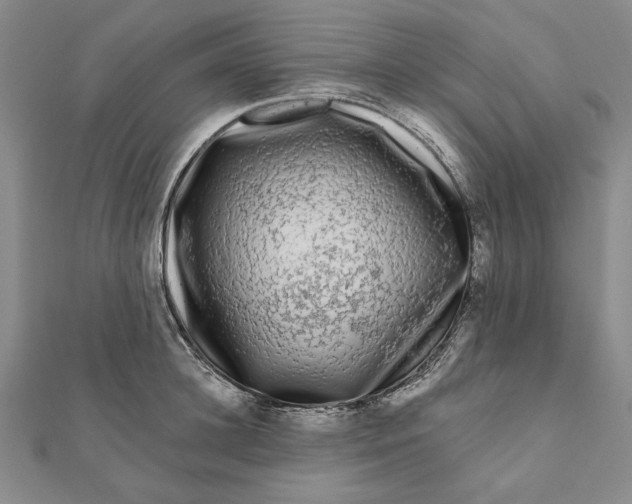 X0000111670948200908141425