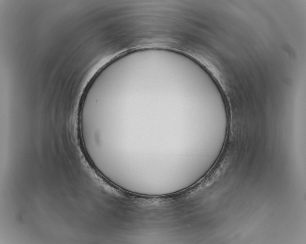 X0000111670949200908141425