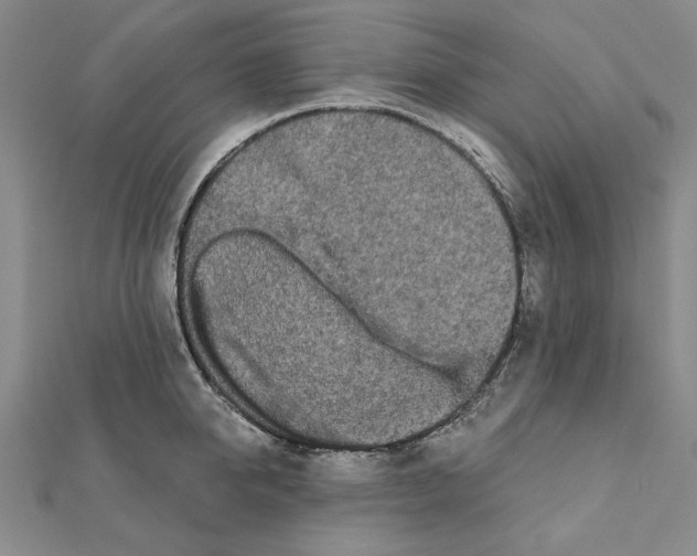 X0000111670950200908141425