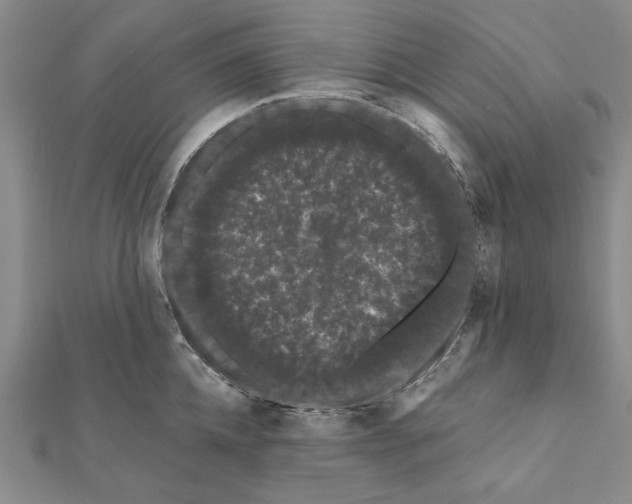 X0000111670952200908141425