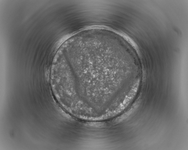 X0000111670953200908141426