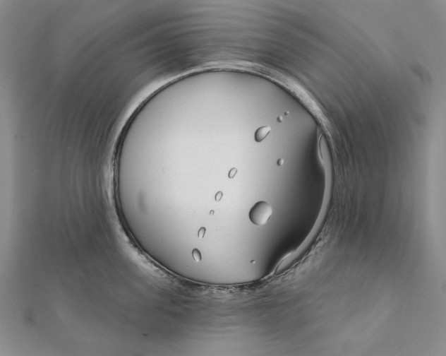 X0000111670955200908141426