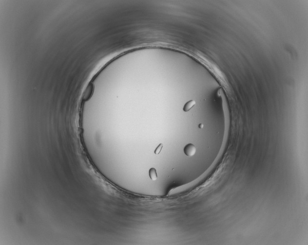 X0000111670956200908141426