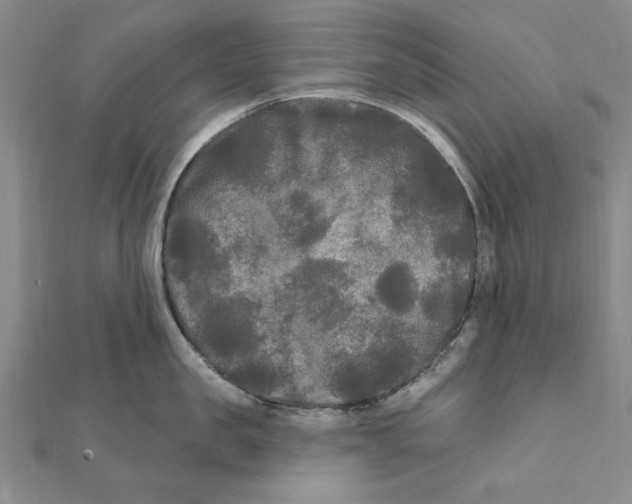 X0000111670957200908141426