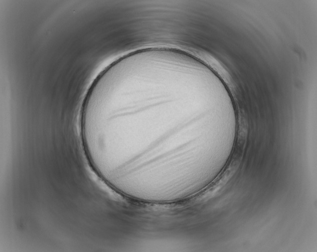 X0000111670958200908141426