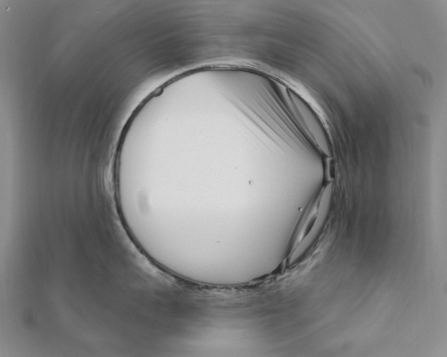 X0000111670959200908141426