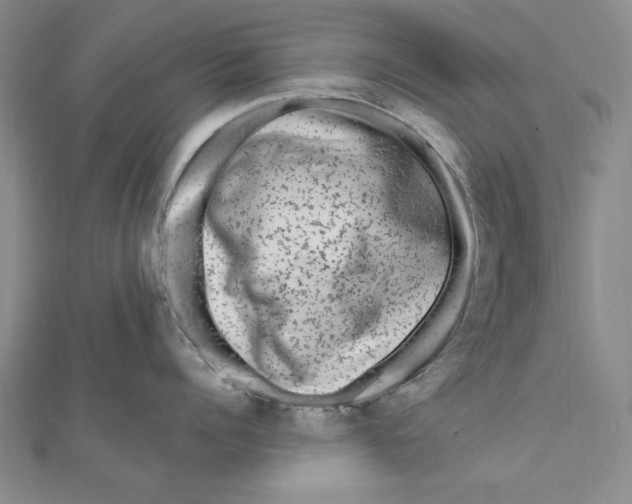 X0000111670960200908141426