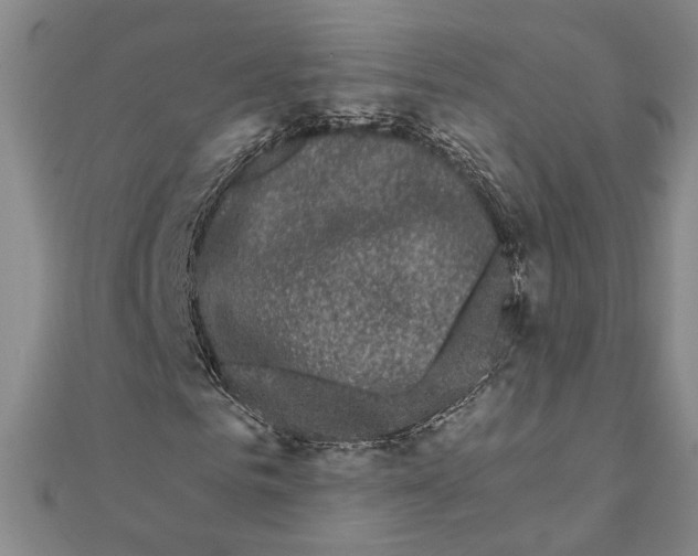 X0000111670961200908141425