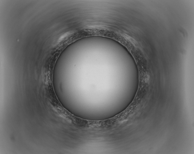 X0000111670965200908141425