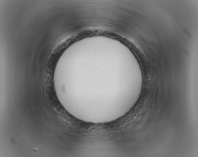 X0000111670967200908141425