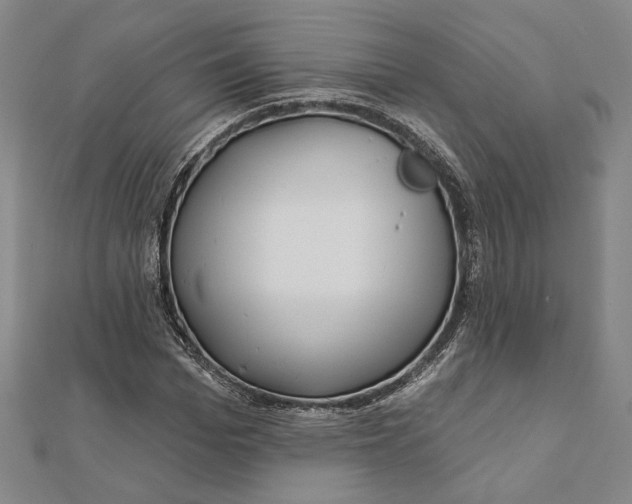 X0000111670969200908141425