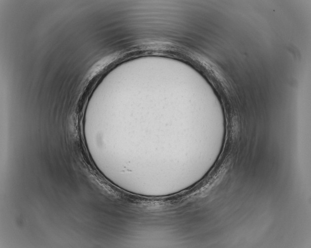 X0000111670970200908141425