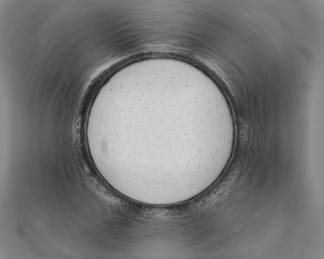 X0000111670971200908141425