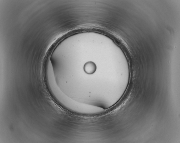 X0000111670973200908141425