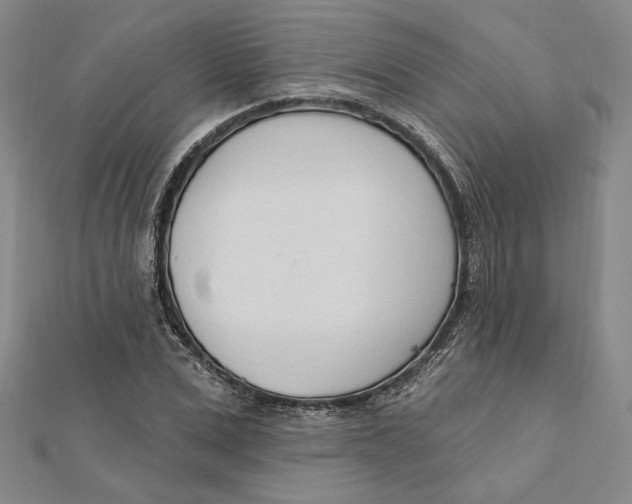 X0000111670975200908141425