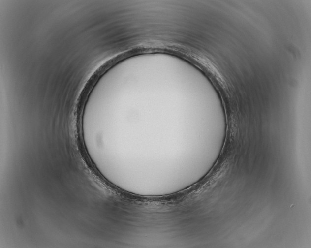 X0000111670976200908141425