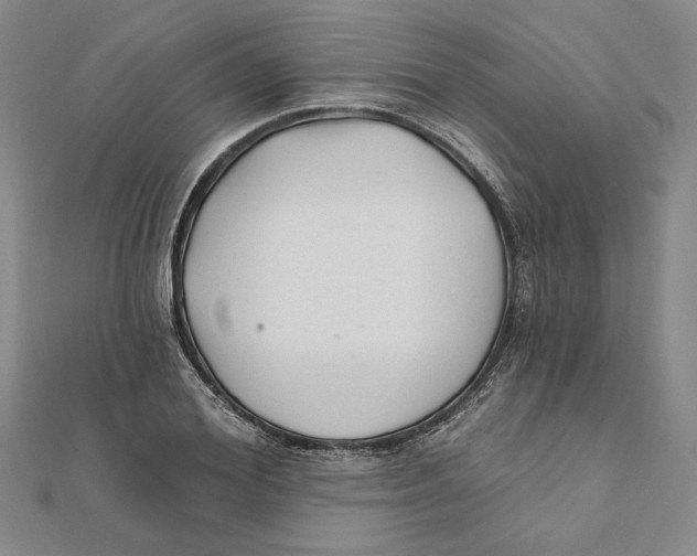 X0000111670980200908141425