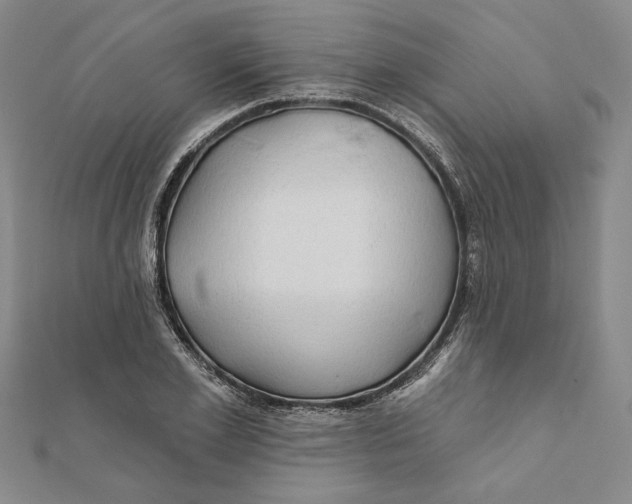 X0000111670981200908141425