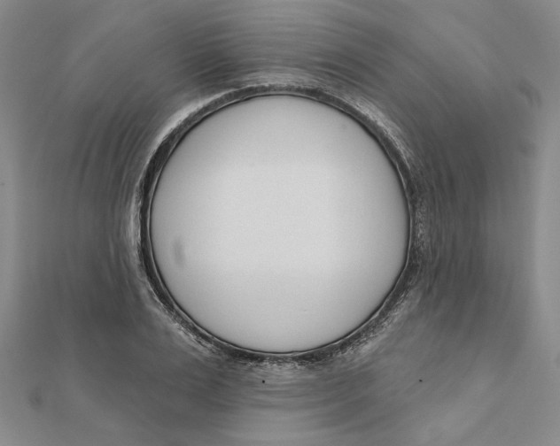 X0000111670983200908141425