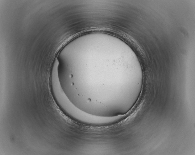 X0000111670985200908141425