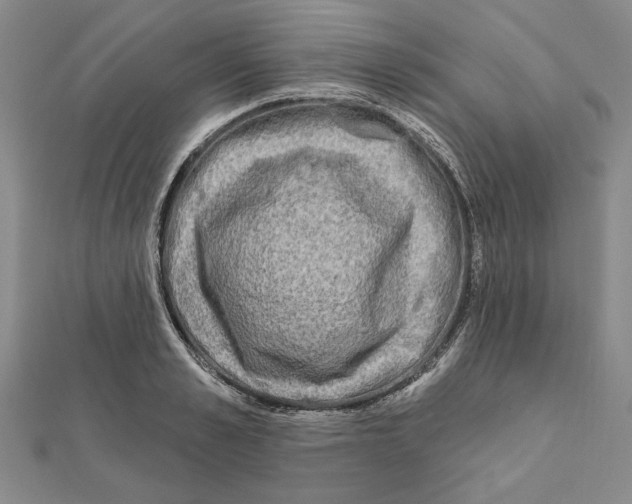 X0000111670989200908141425