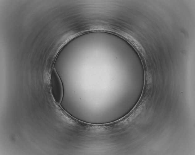 X0000111670993200908141425