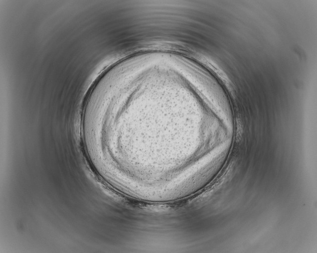 X0000111670994200908141425