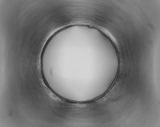 X0000111670996200908141425