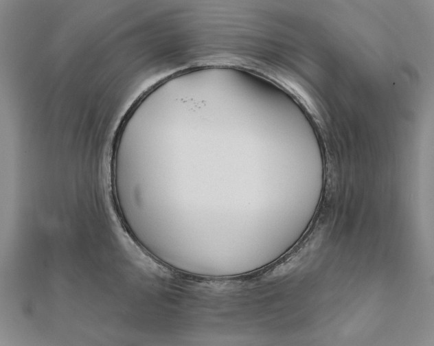 X0000111671000200908141424