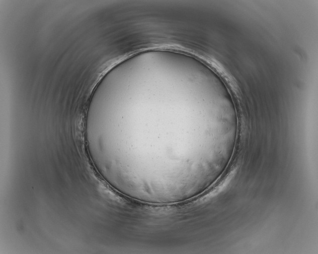 X0000111671001200908141424