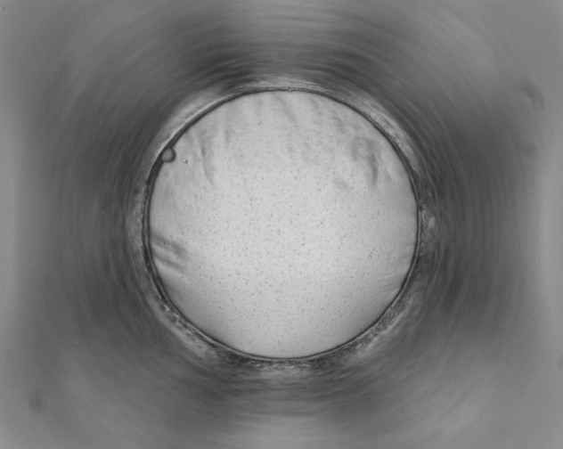 X0000111671002200908141424