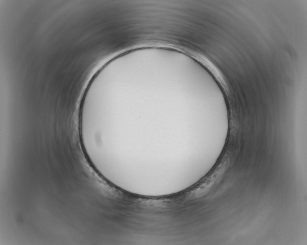 X0000111671004200908141424