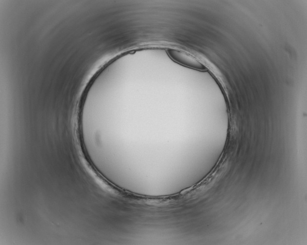 X0000111671005200908141424