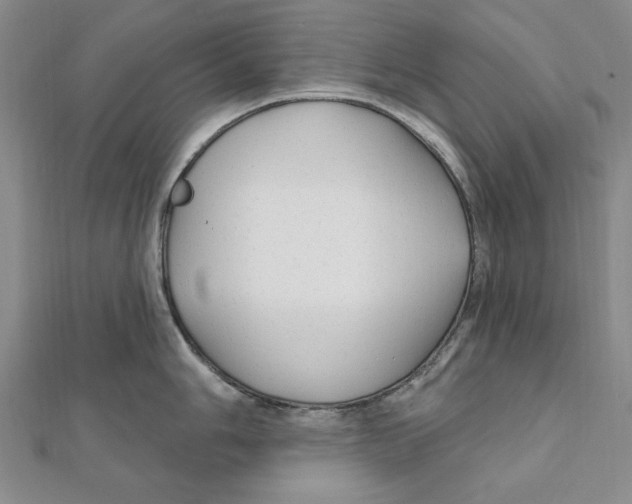 X0000111671006200908141424