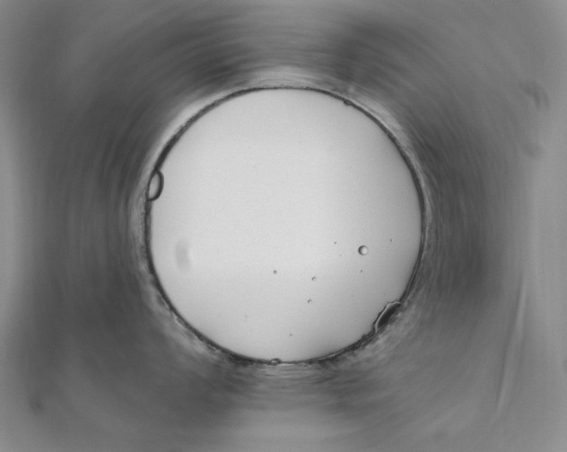 X0000111671008200908141424