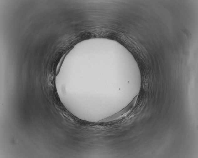 X0000111671010200908141424