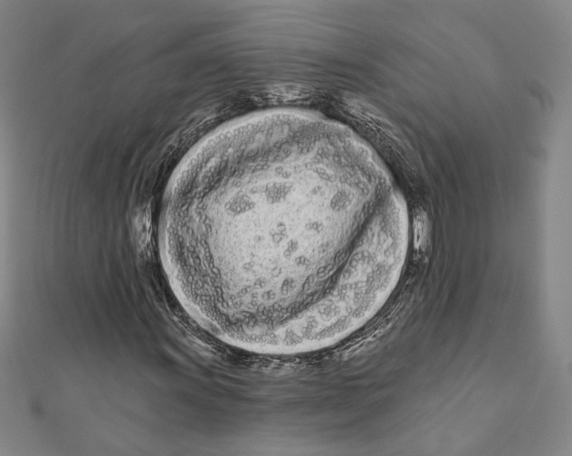 X0000111671011200908141424