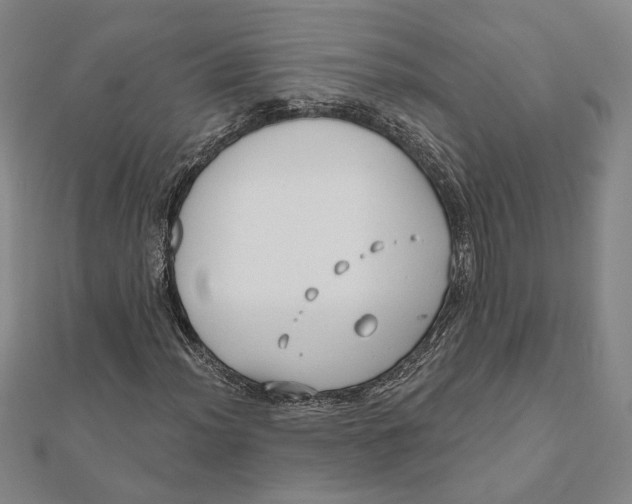 X0000111671012200908141424