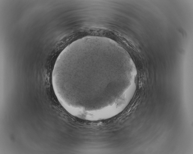 X0000111671013200908141424