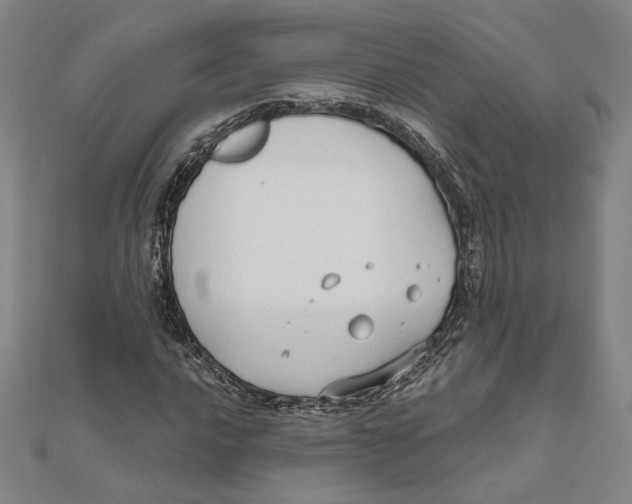 X0000111671016200908141424