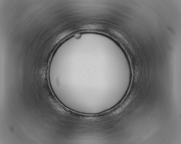 X0000111671017200908141424