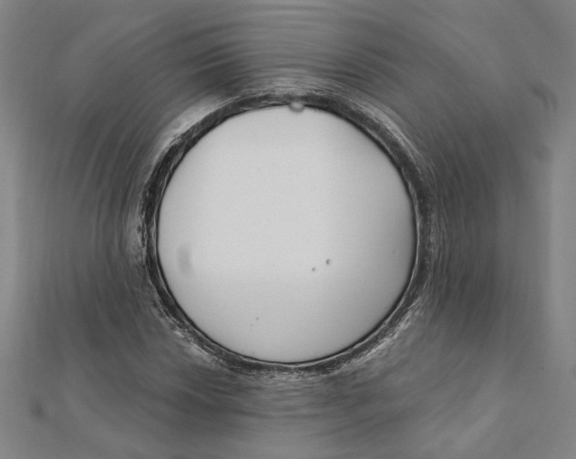 X0000111671018200908141424