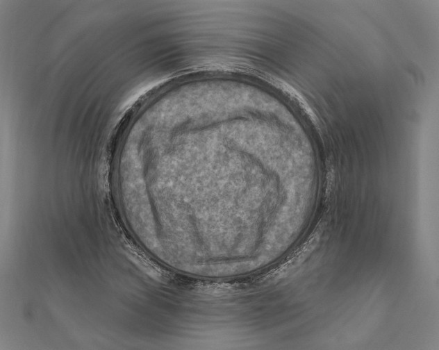 X0000111671019200908141424