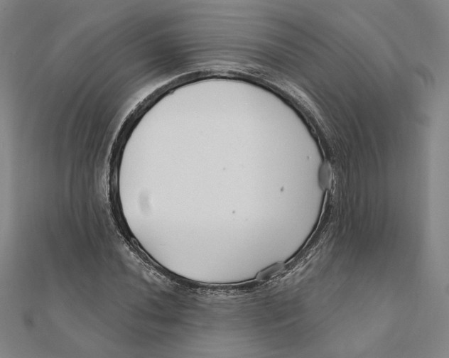 X0000111671020200908141424