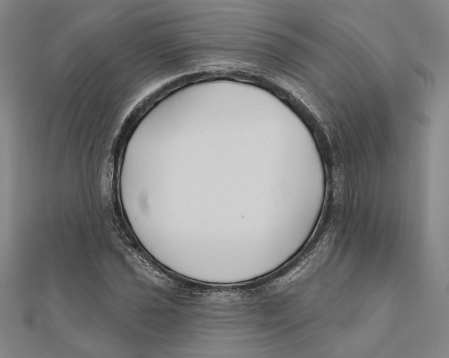 X0000111671021200908141424